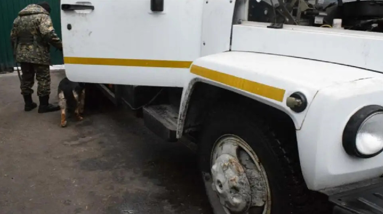 Кавказ қыздарымен жеке секс видео Күйеуі ғашықтардан кейін сперматозоидты ішеді