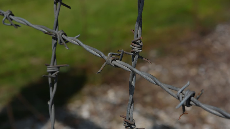 3,3 мың адамды өлтірген: Германияның 98 жастағы тұрғынына айып тағылды