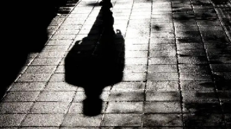 Елімізде бір аптада 2,6 мыңнан астам қылмыс жасалған