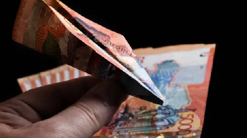 Семей орманы реверватында жалақы теңдей өспеген