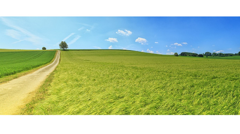 Ақмола облысында 30 мыңнан астам жайылым ауылдарға берілді