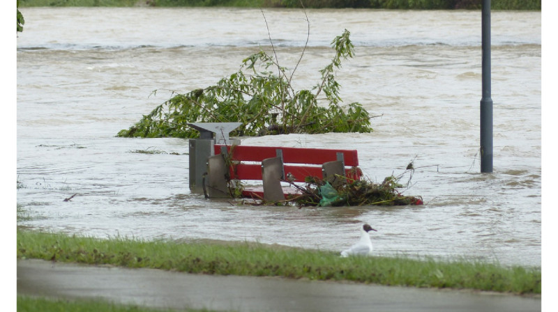 Климаттың өзгеруінен күн сайын 20 000 бала баспанасынан айырылады