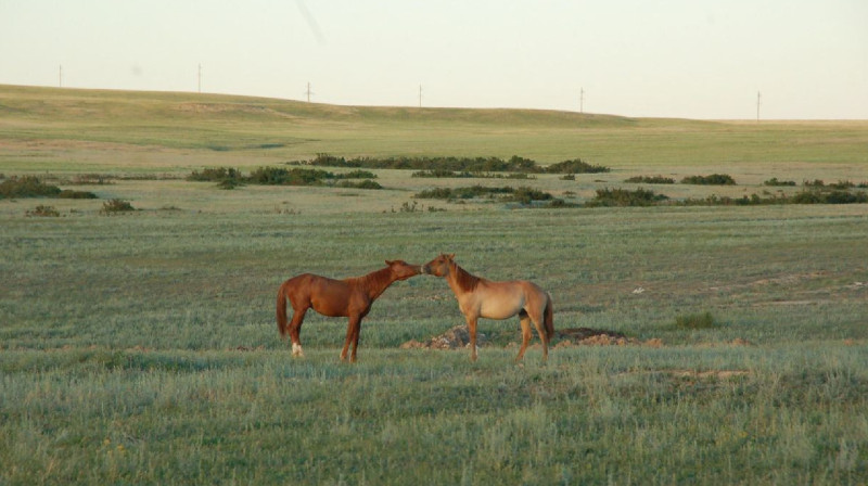 Халықаралық БАҚ байқауында ақтөбелік полицейдің суреті ІІІ орын алды