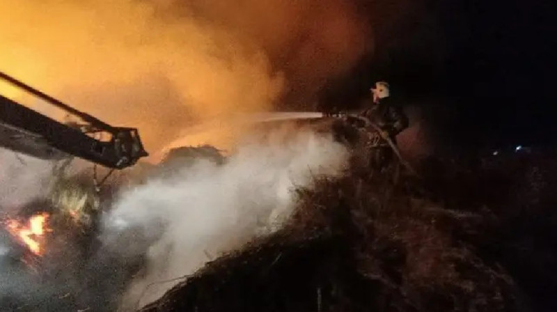 Cіріңкемен ойнаймын деп, 30 тонна шөп өртеніп кетті