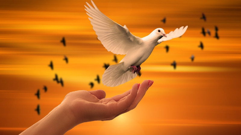 Дүниежүзілік ислам лигасы: Қазақстаннан үлгі алуға шақырамыз