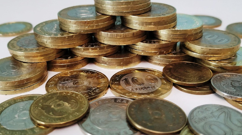 Lider қаржы пирамидасының басшысы Қазақстанға экстрадицияланды