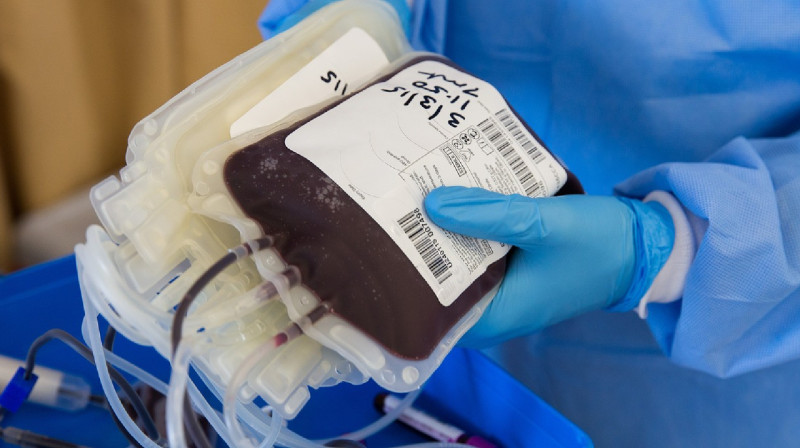 Адам ағзаларын алып-сатумен айналысқан қылмыстық топ құрықталды