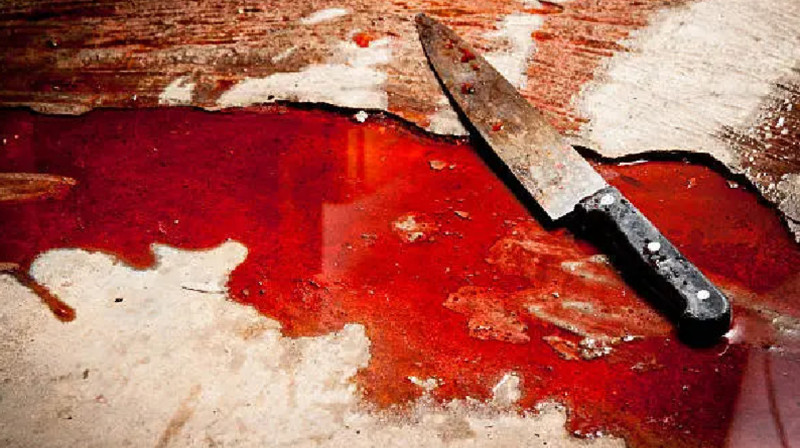 Әйел пышақ жарақатынан көз жұмды. Ауылдағылар ұлы өлтірді деп отыр