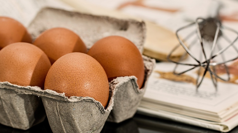 Жұмыртқа бағасы қымбаттады