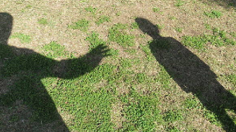 10 жастағы қызды зорлады деген күдікпен 60 жастағы ер адам ұсталды