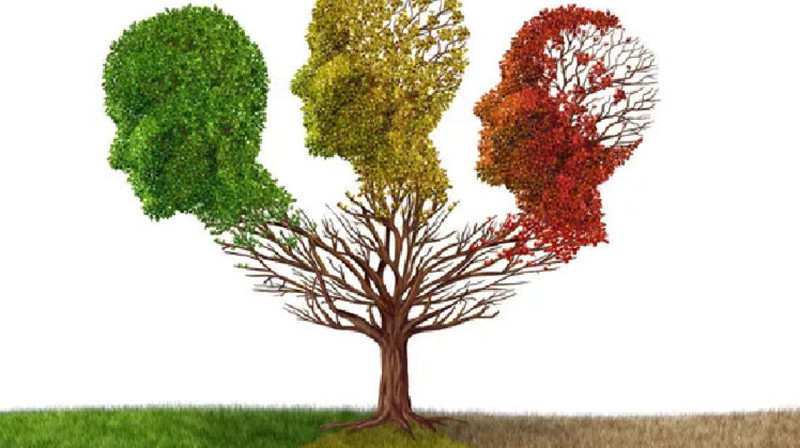 Альцгеймер ауруының қаупін төмендететін жидек деп анықталды