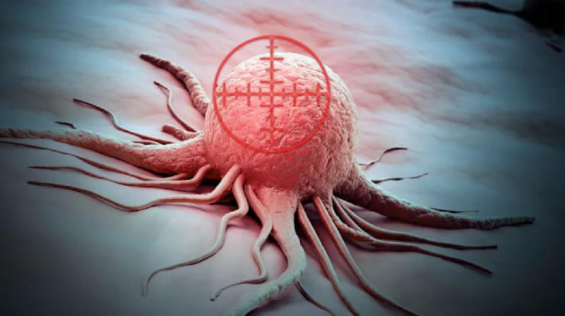 Ғалымдар қатерлі ісік жасушаларын жоюдың әдісін тапты