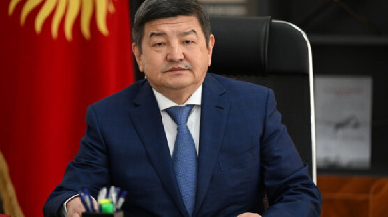 Қырғызстан үкіметінде министрлердің орынбасарлары қысқартылды