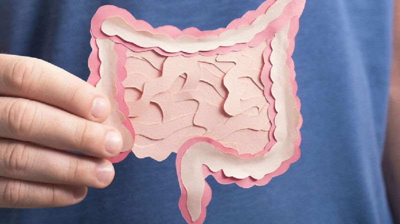 Ішек микробиомасының қызметі мен шизофрения арасында байланыс анықталды