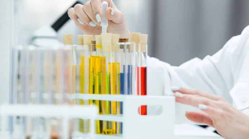 Алматыда оқушысының зорлануы — сараптама жарияланды