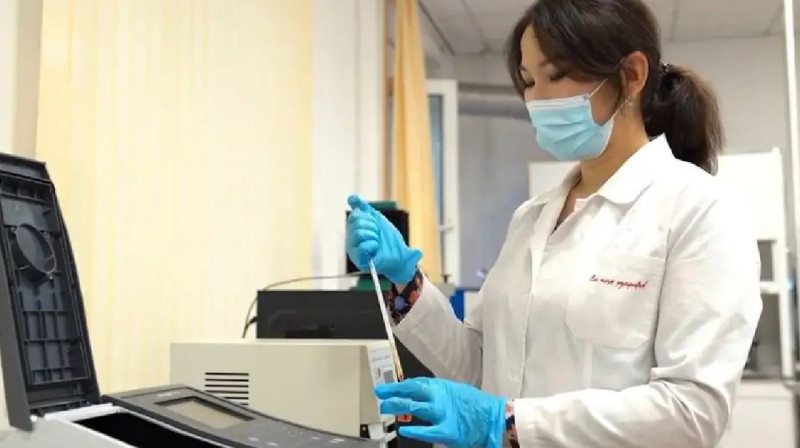 Қазақстандық ғалымдар өсімдіктен сүт өндірмек