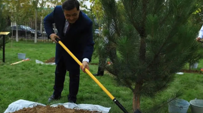 Түркістандағы жаңа саябаққа әнші Димаш жолдаған ағаш отырғызылды