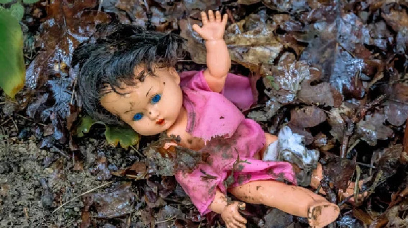 Алматы облысында зорлыққа тап болған егіз қыздың жағдайы