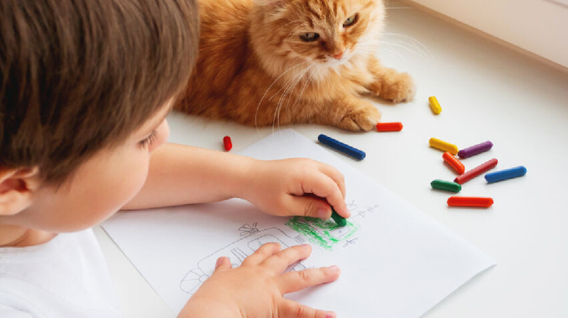 Ғалымдар солақайлар талантты келеді дегенді жоққа шығарды