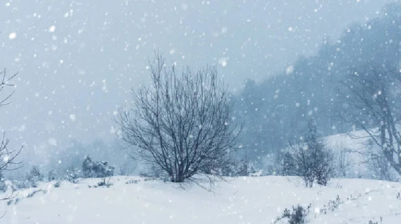 Моңғолиядағы боранда малшылар қаза тапты