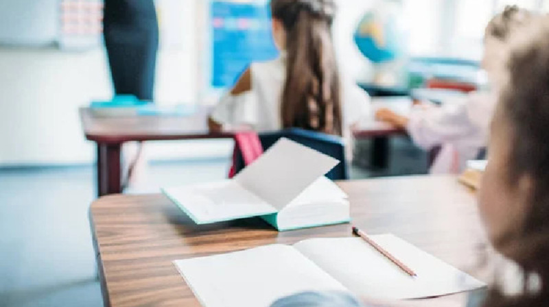 Мектеп оқушылары сабақ кезінде порнокадрлар көріп келген