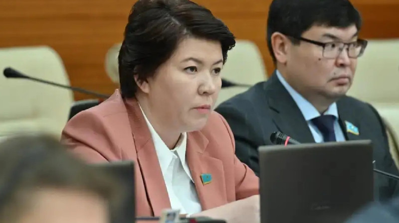 Депутат Бишімбаевқа қатаң жаза қолдануды талап етті