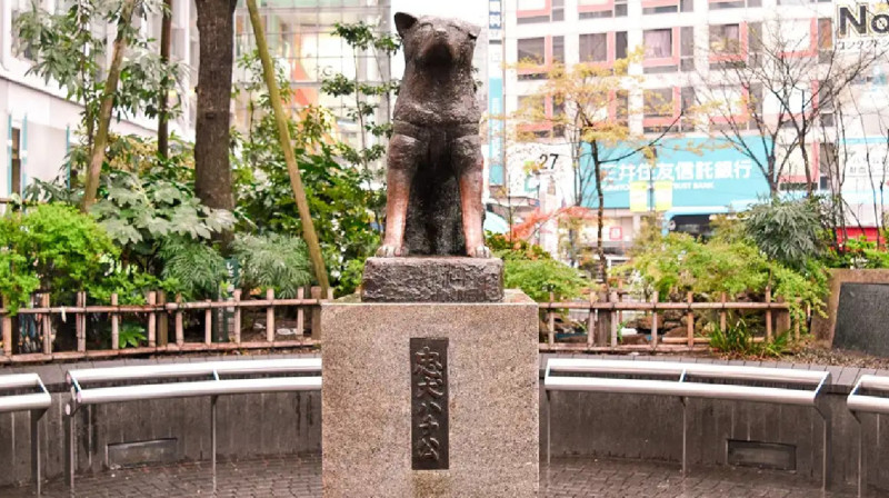 Жапонияда Хатиконың 100 жылдығы тойланды