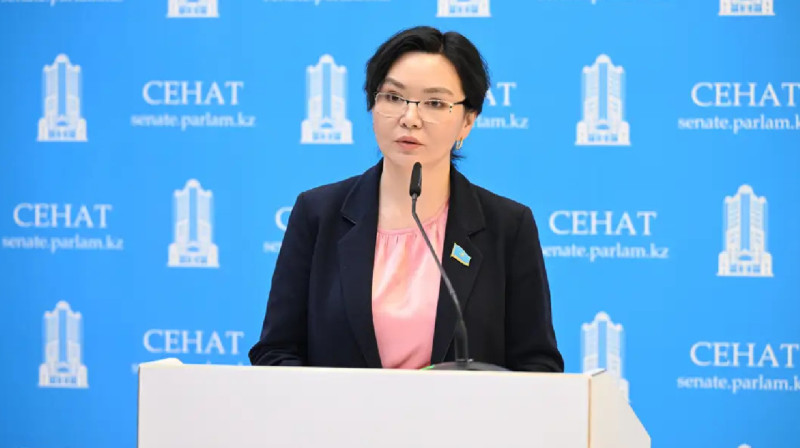 Сенатор: Отбасындағы зорлық-зомбылықпен күрес саласында бақылауды күшейту керек