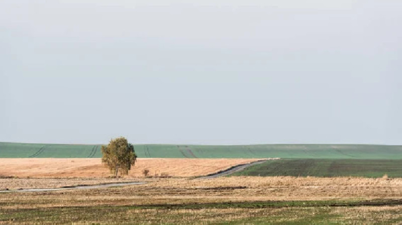 Алматы облысында 600 мың гектар жер пайдаланылмай отыр