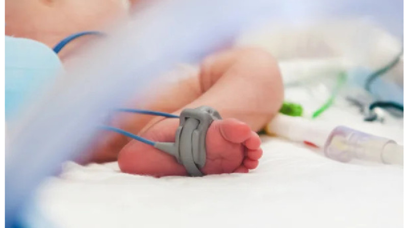 Шымкентте туысы терезеден лақтырып жіберген сәби қайтыс болды