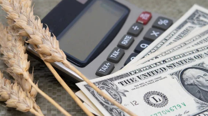 Қазақстан биылғы астықтың 6 млн тоннасын экспорттайды