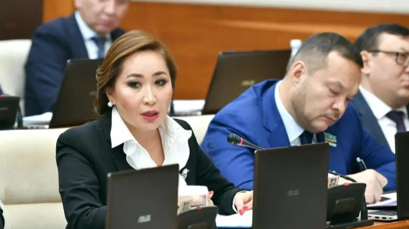 Депутат келер жылды зорлық-зомбылыққа қарсы күрес жылы деп жариялауды ұсынды