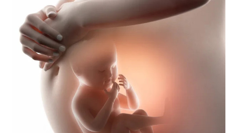 Құрсақтағы нәрестемен әңгімелесіңіздер, келіншектер