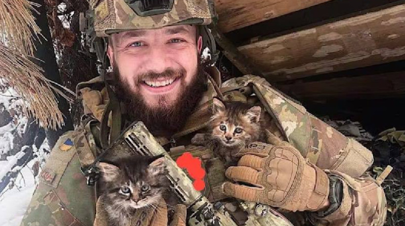 Украина майданға жаппай мысық жіберіп жатыр