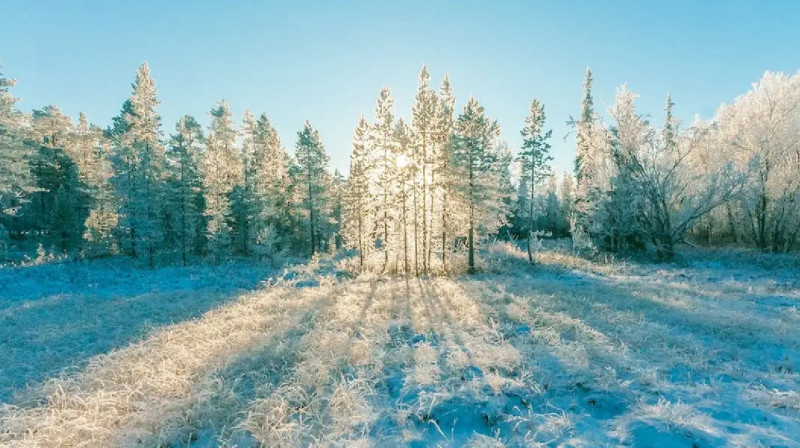 Қазақстанда осы аптада 42 градус аяз болады