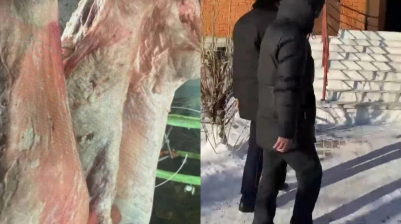 «Тойыма ақша табу үшін ұрладым». Екі отбасының малын ұрлаған