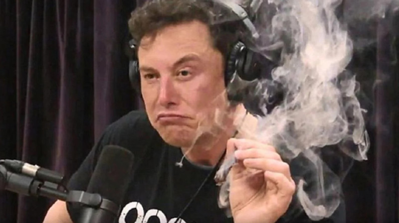 Есірткі және Илон Маск: Tesla және SpaceX топ-менеджерлері Маскке алаңдайды