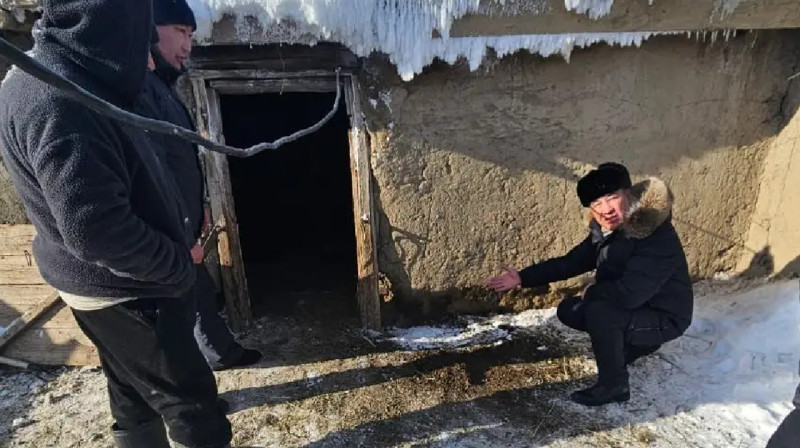 Шығыс Қазақстан облысы Самар ауданында 15 қойды сілеусін қырып кетті