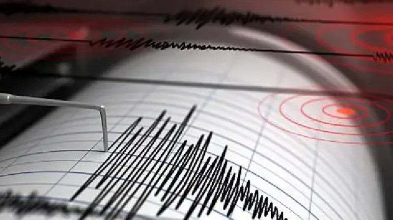 Алматы облысында жер сілкінісінен соң 44 нысанда жарықтар пайда болды
