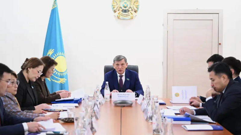 Сенаторлар еліміздегі демографиялық жағдайды зерделеді