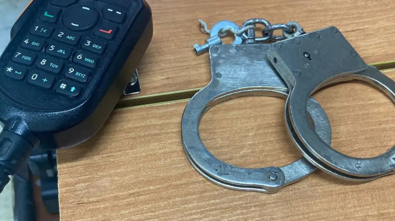 Түркістан облысында екі әйел дүкеннен азық-түлік ұрлаған