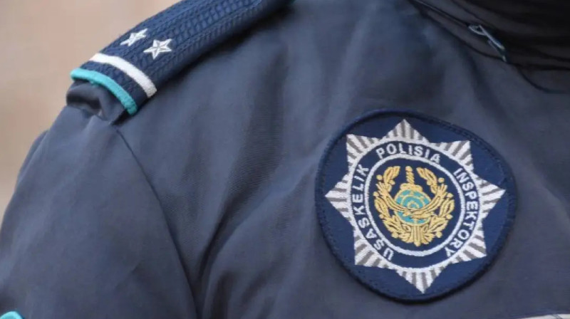 Өскеменде күшіктерді балталаған ер адамға қатысты тергеу басталды