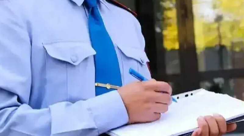 Мысыққа сірке суын шашып жіберген павлодарлық 86 мың теңге айыппұл төлейді