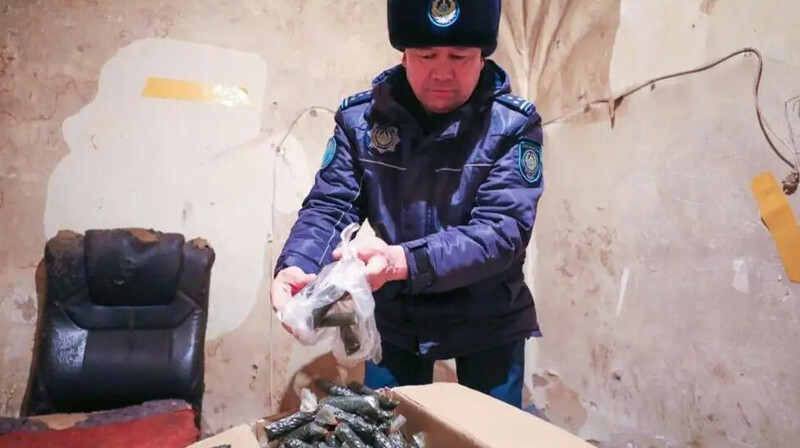 Астанада насыбай өндіретін жерасты цехы жойылды