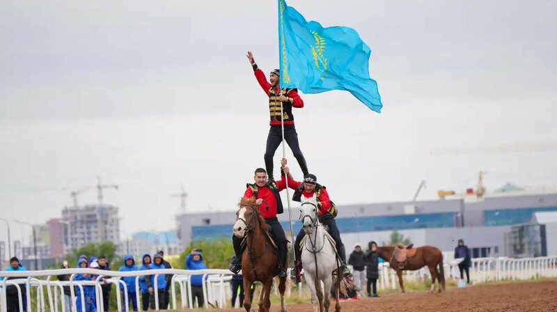 Елімізде «Ат спортындағы ветеринария» мамандығы ашылады
