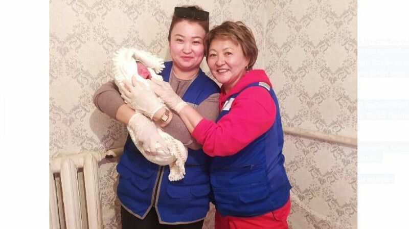 Әйелді үйінде босандырып алған