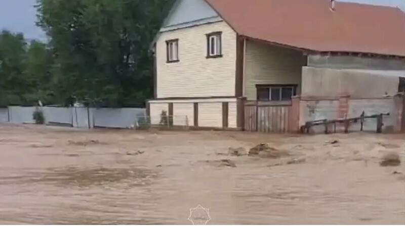 Алматы облысында сел жүріп, үйлерді су басты