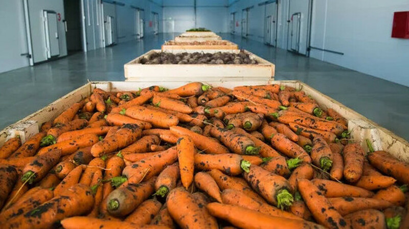 Түрік компаниясы Қазақстанда 5000 тонналық көкөніс қоймасын салады
