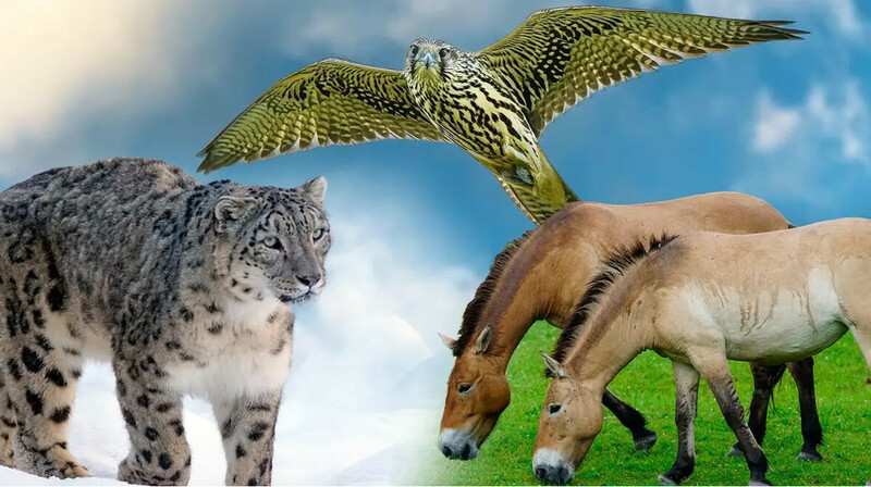 Өзбекстан: Циркте жабайы жануарларды пайдалануға тыйым салынады