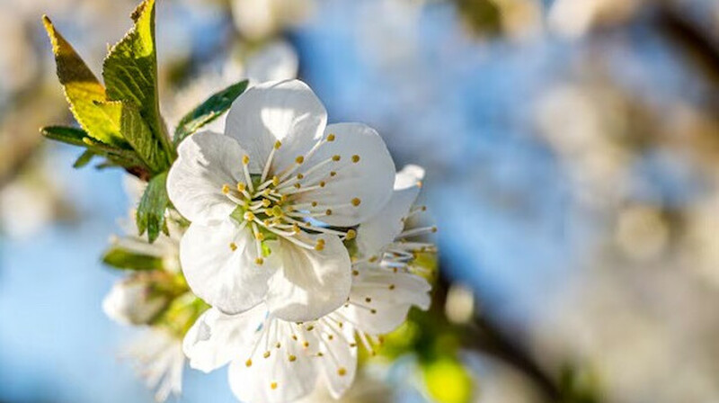Елімізде бүгін ауа райы қандай болады?